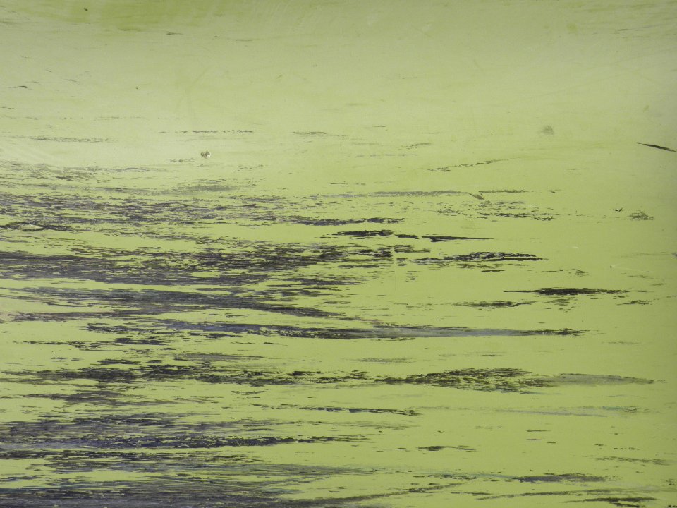 Texture - P7250362