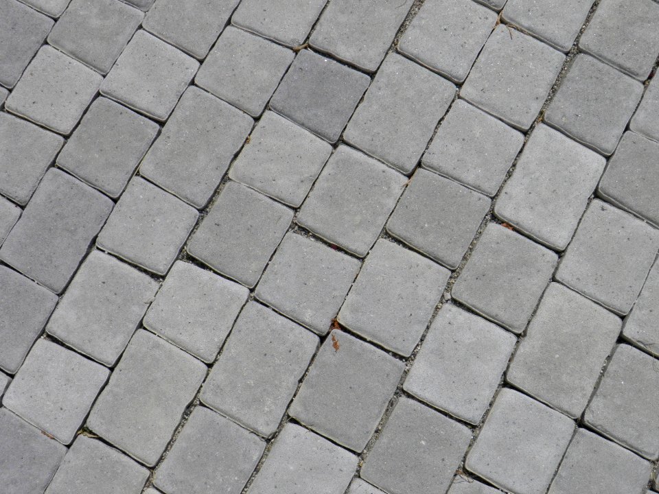 Texture - P7250366