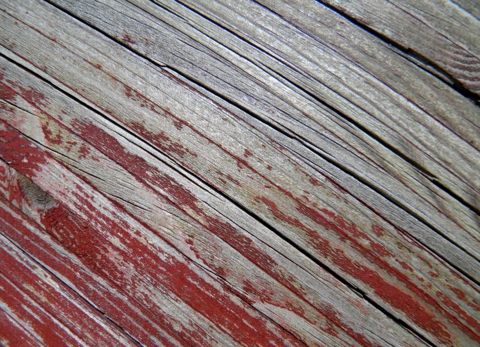 Texture - P7220228