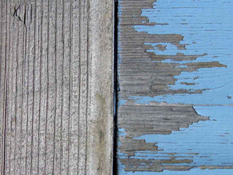 Texture - P7220233