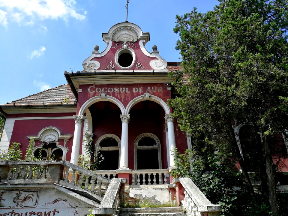 Tg.Mures Cocosul de Aur (4)