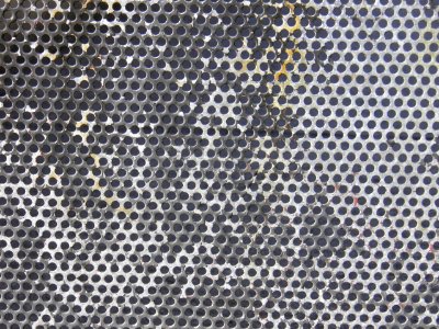 Texture - P7220296