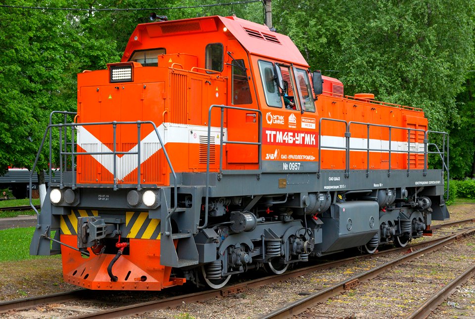 TGM4BUGMK-0957 (2) (cropped)