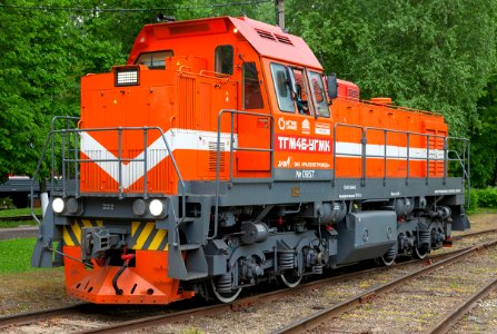 TGM4BUGMK-0957 (2) (cropped)