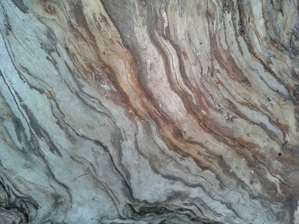 Texture 01