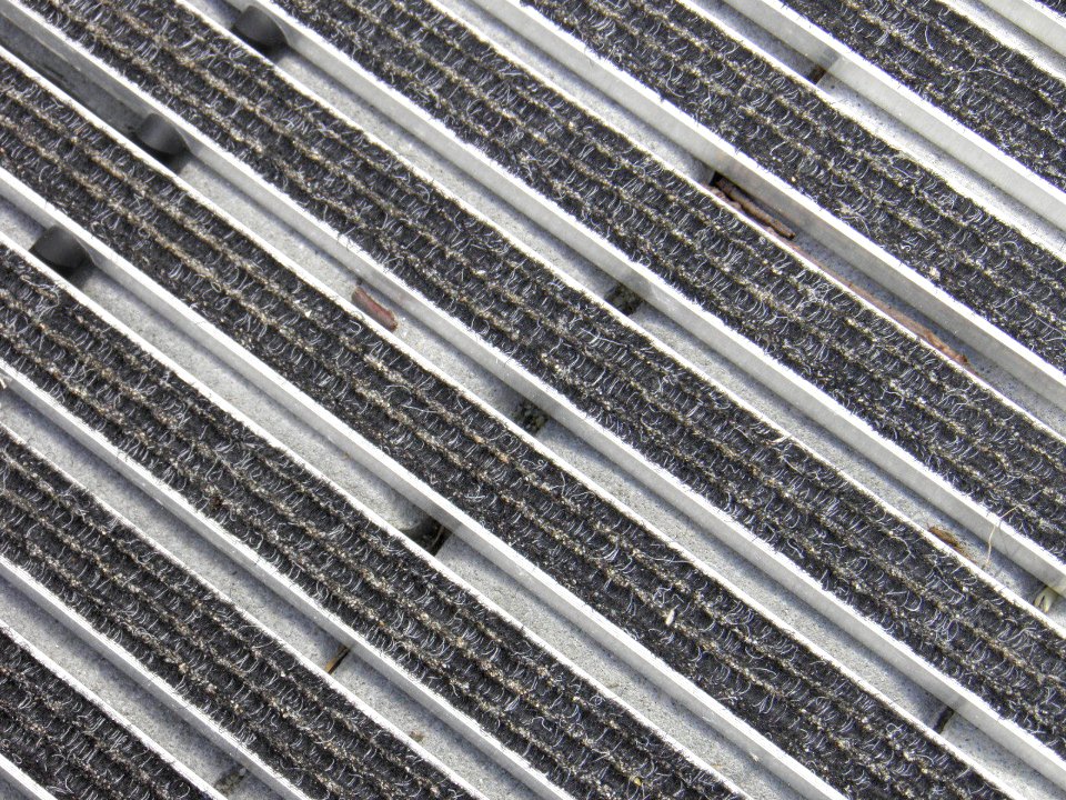 Texture - P7250373