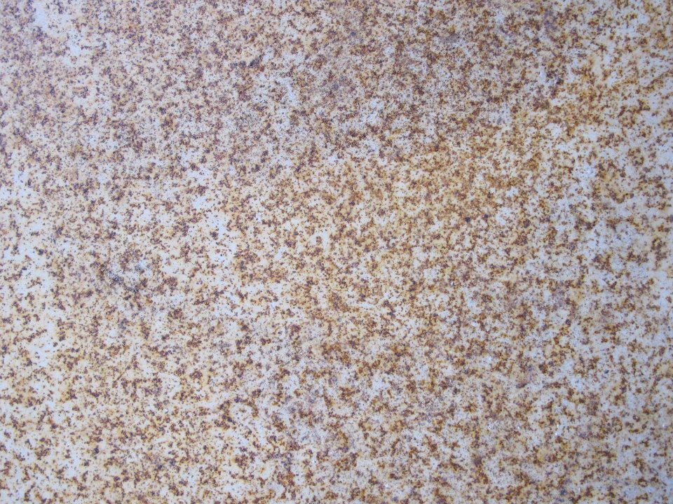 Texture - 2016-09-06