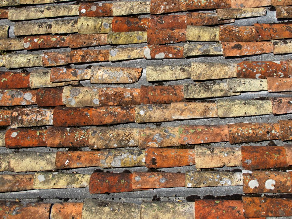 Texture - 2016-09-08