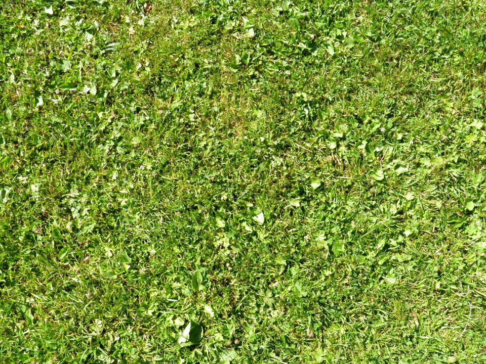 Texture - P7220234