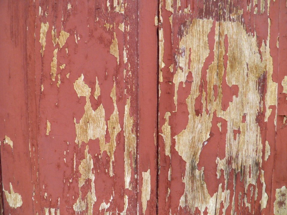 Texture - P7220226