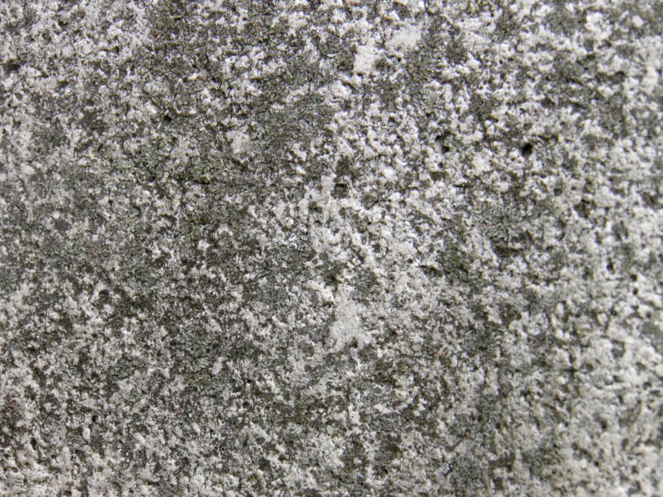 Texture - PC290423