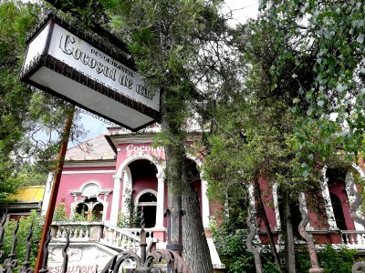 Tg.Mures Cocosul de Aur (3)