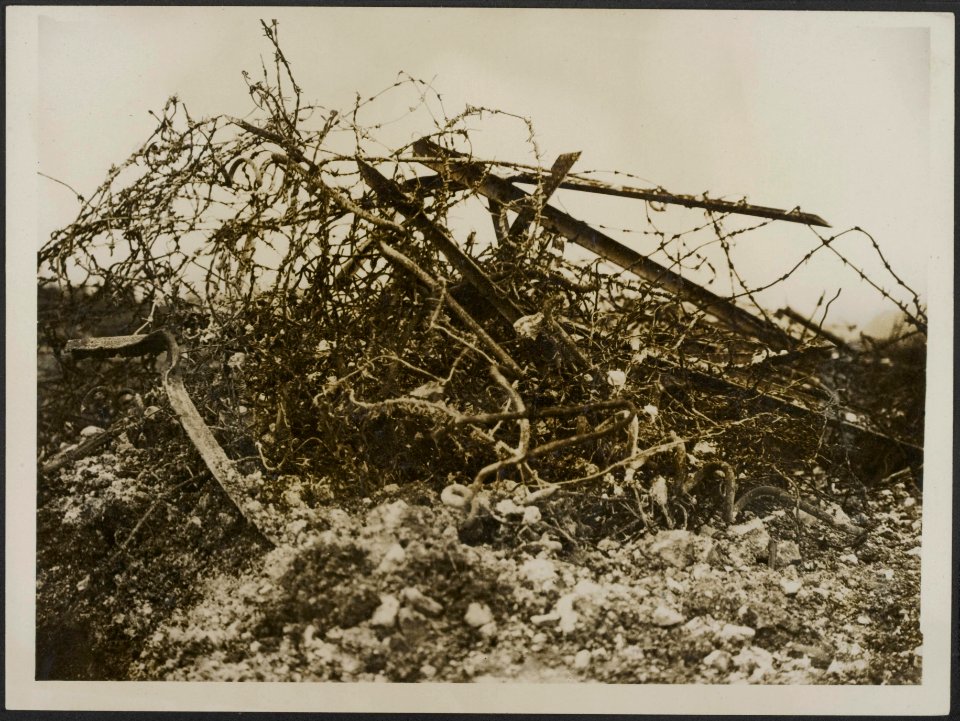 The ... thing our artillery ... before, the infantery of ... German barbe…, Bestanddeelnr 158-2739