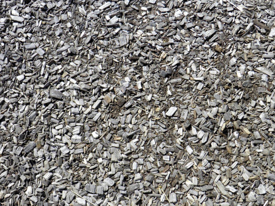 Texture - P7250364