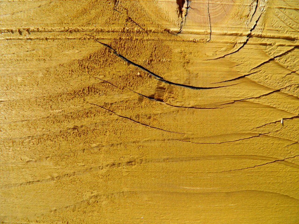 Texture - P7220239