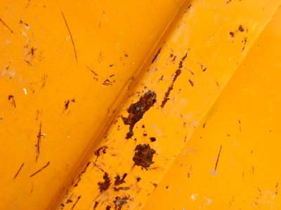 Texture 12