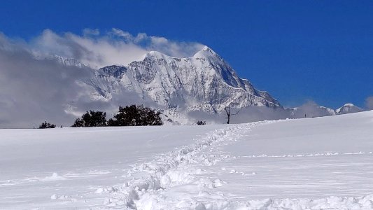 The amazing snowladen Jhandi-Top near Deoria Tal, Uttarakhand, India