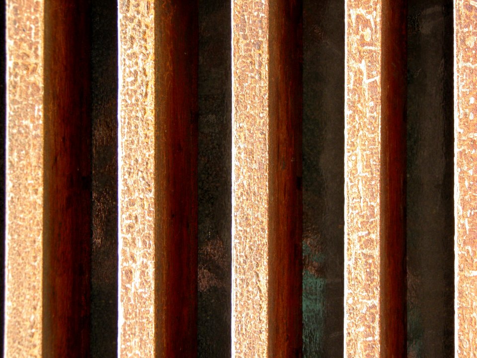 Texture 19