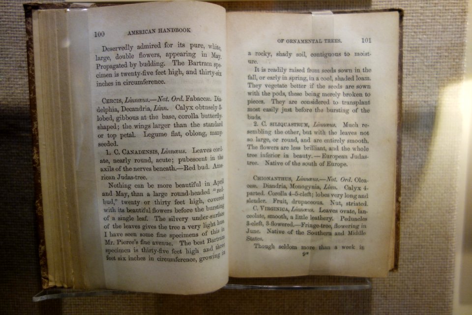 The American Handbook of Ornamental Trees by Thomas Meehan, 1853 - Heritage Exhibit - Longwood Gardens - DSC00931