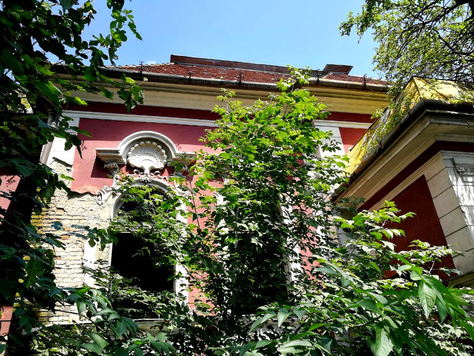 Tg.Mures Cocosul de Aur (6)