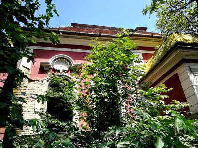 Tg.Mures Cocosul de Aur (6)