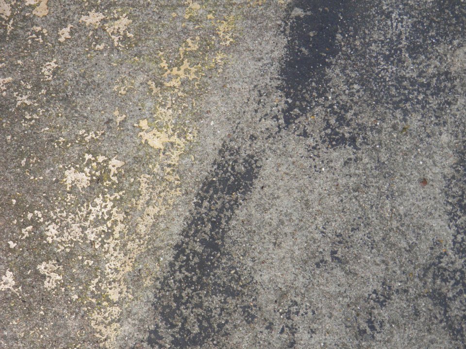 Texture P7180182