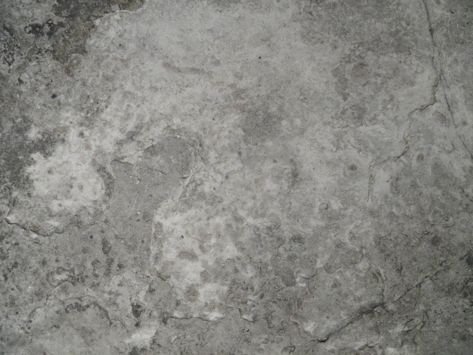 Texture P7150102