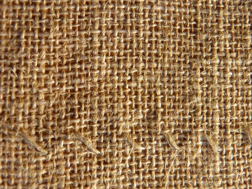 Texture - PC020313