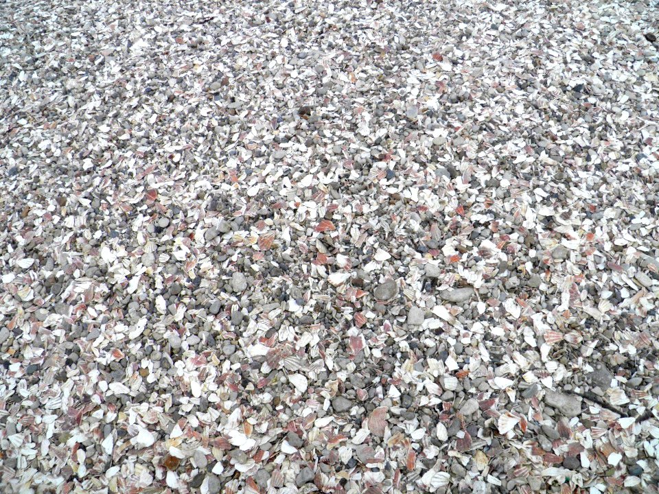 Texture - P8240133