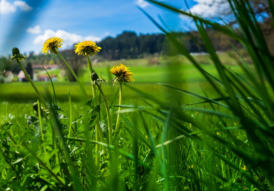 Background screen background desktop background
