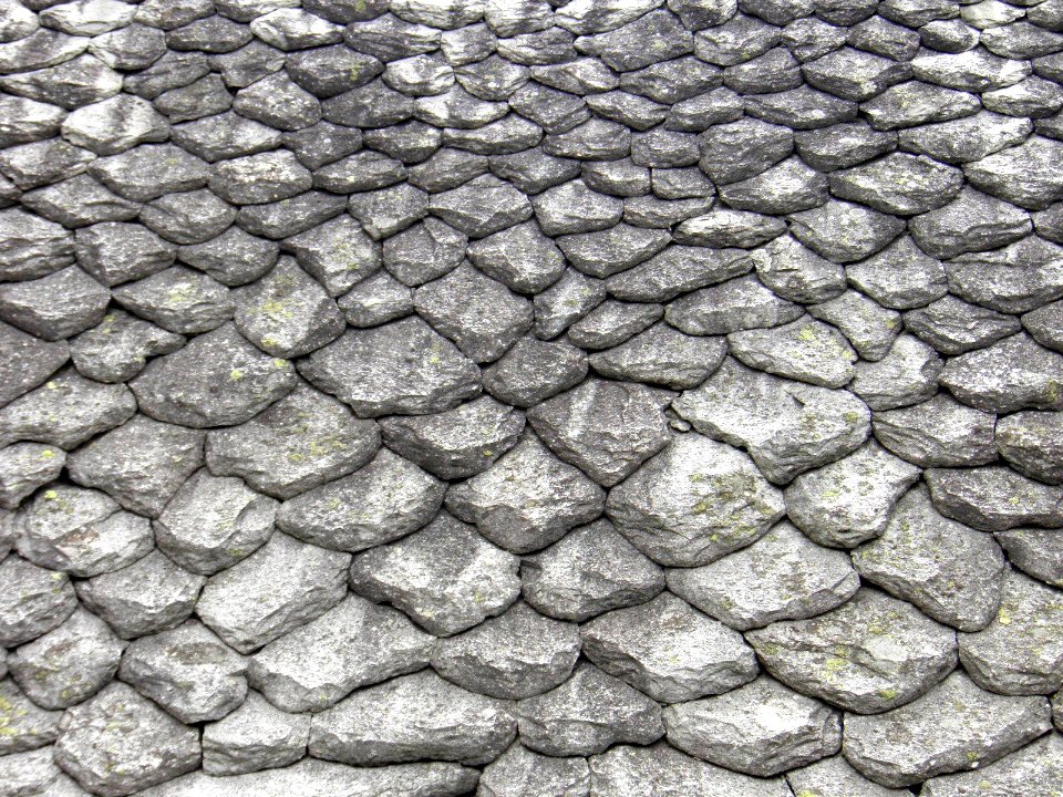 Texture - P8280182