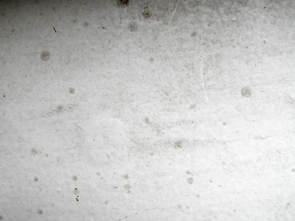 Texture P7150017