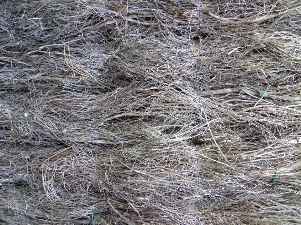 Texture - PB020284