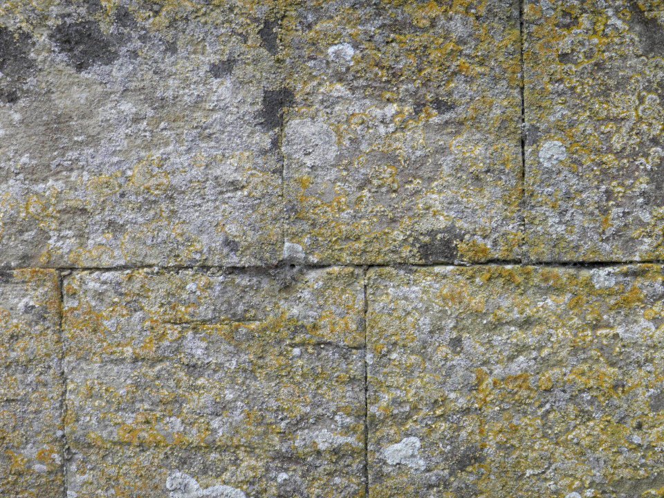 Texture - P8240124 photo