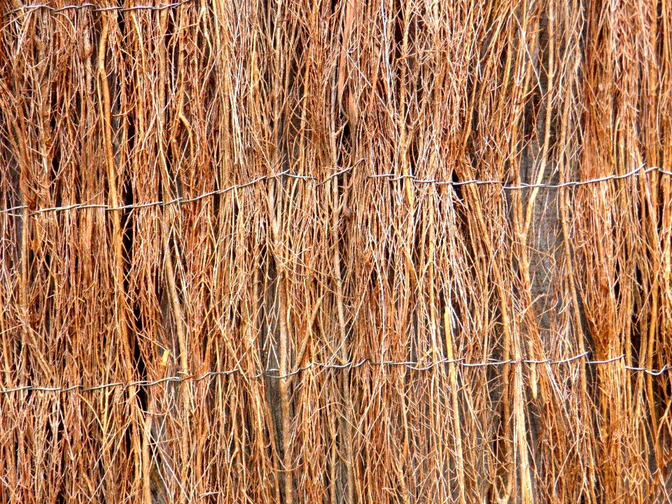 Texture - P8280178