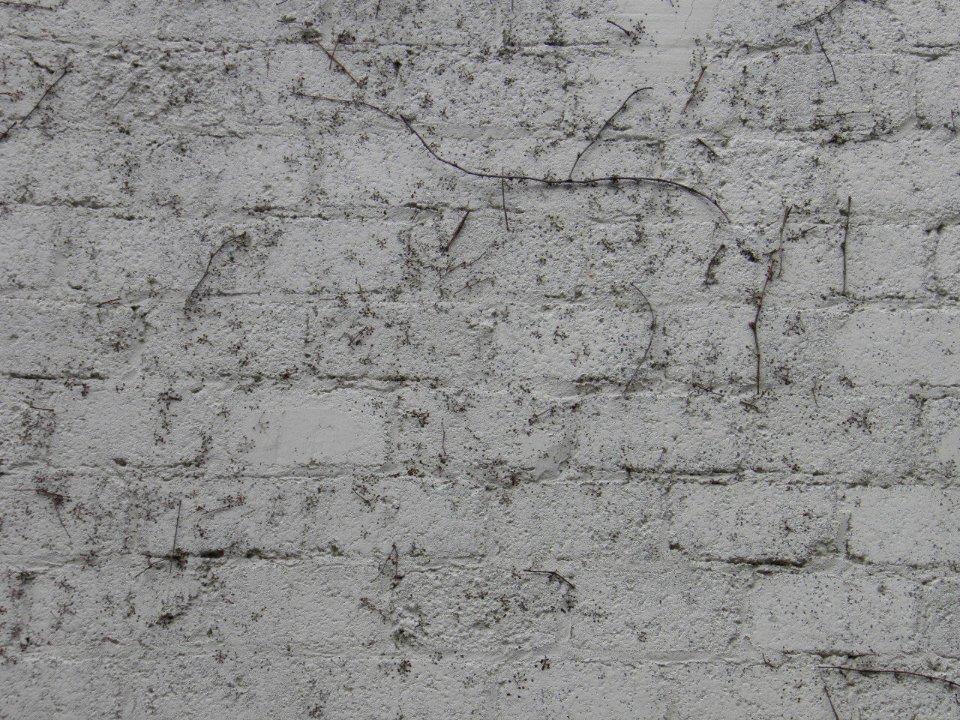 Texture P7180160