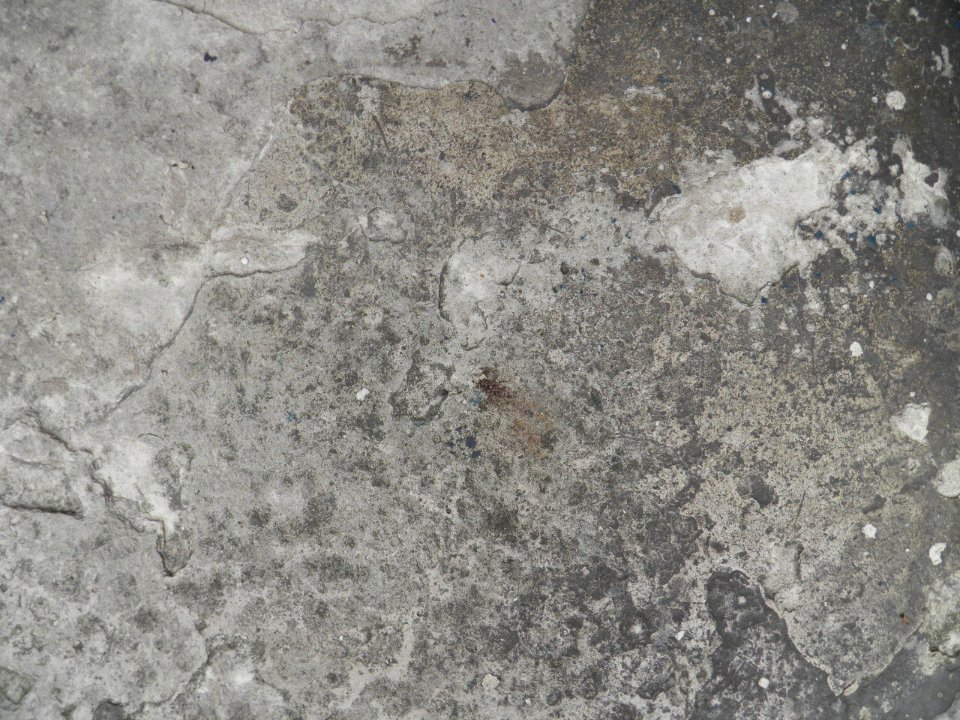 Texture P7150101