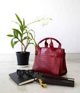 Handbag brand woman