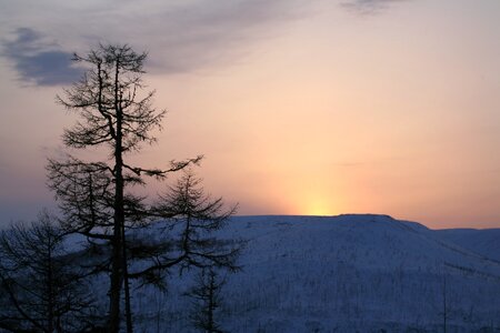 Winter evening landscape photo