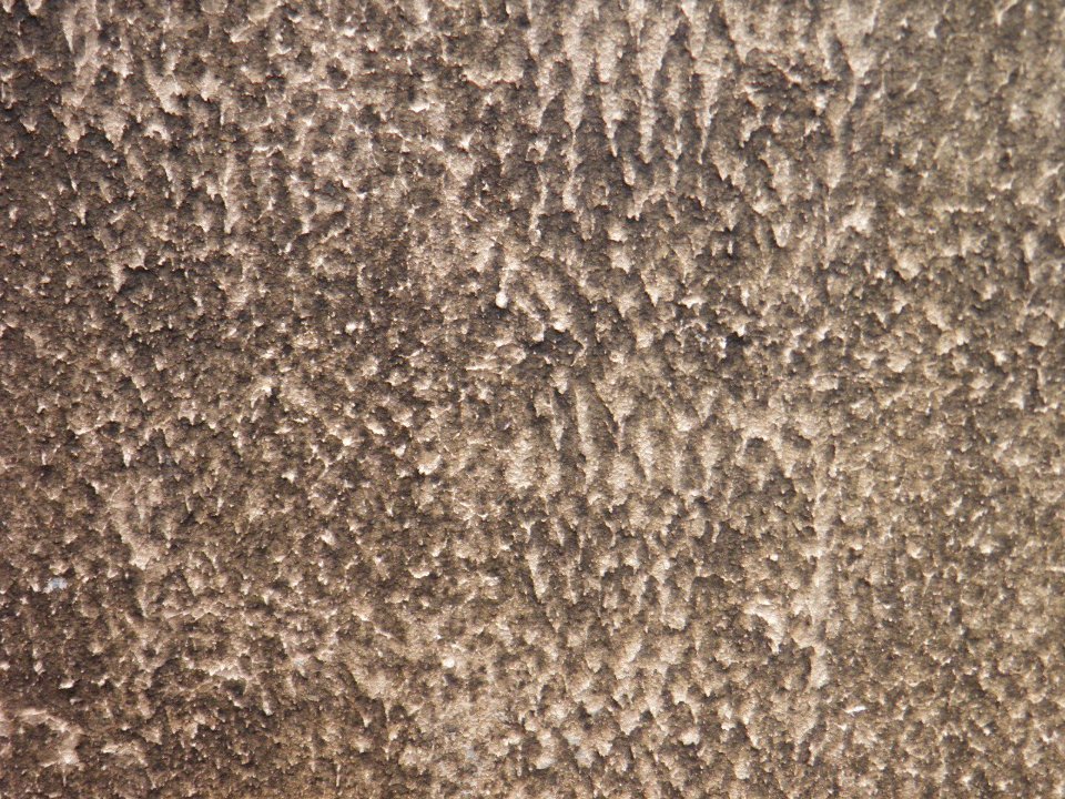 Texture 24