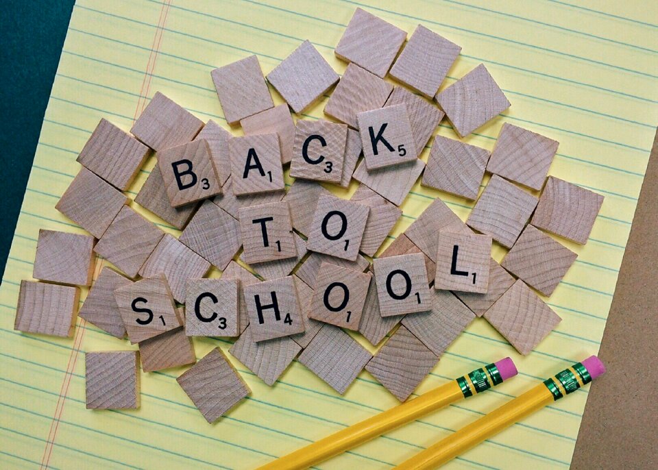 Education pencil learn