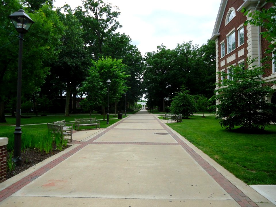 The College of New Jersey (TCNJ) 42