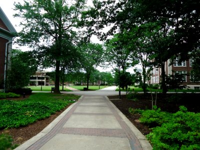 The College of New Jersey (TCNJ) 22
