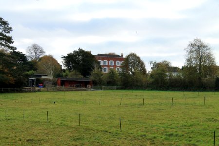 The Belvedere