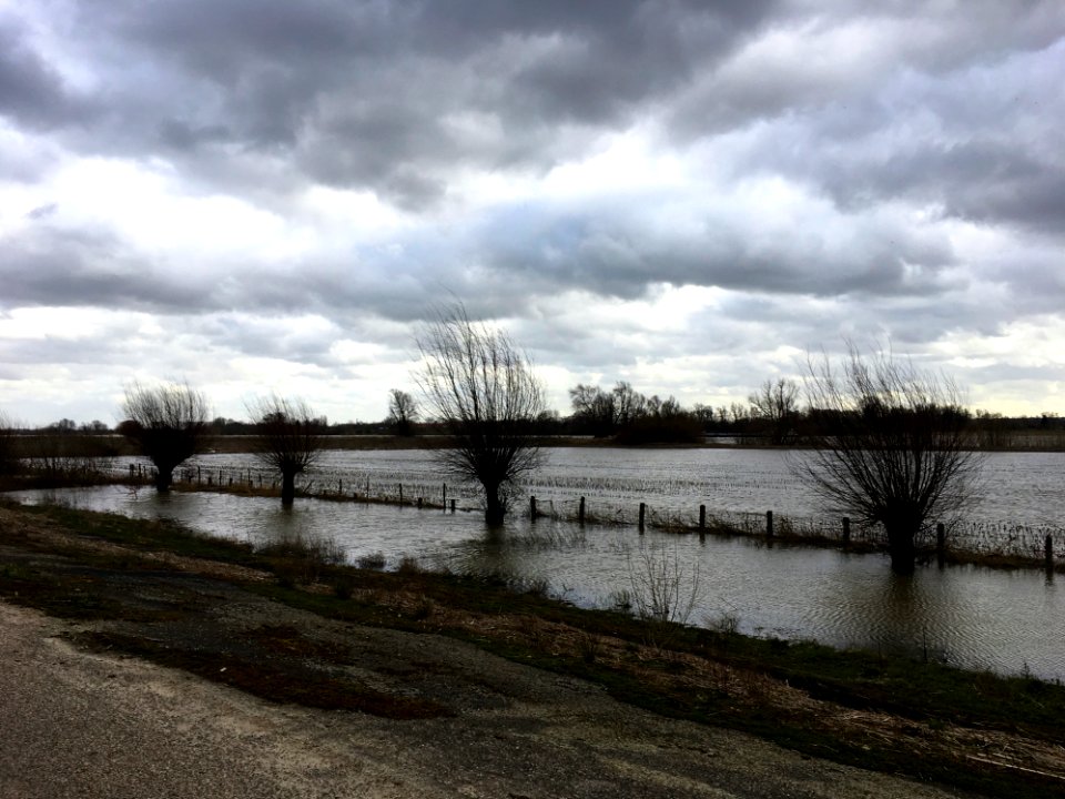 The Bemmelish floodplain during high water (2020)