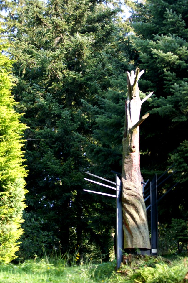Tharandt forstgarten blitzempfaenger