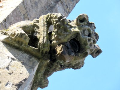 Thaxted gargoyle 03