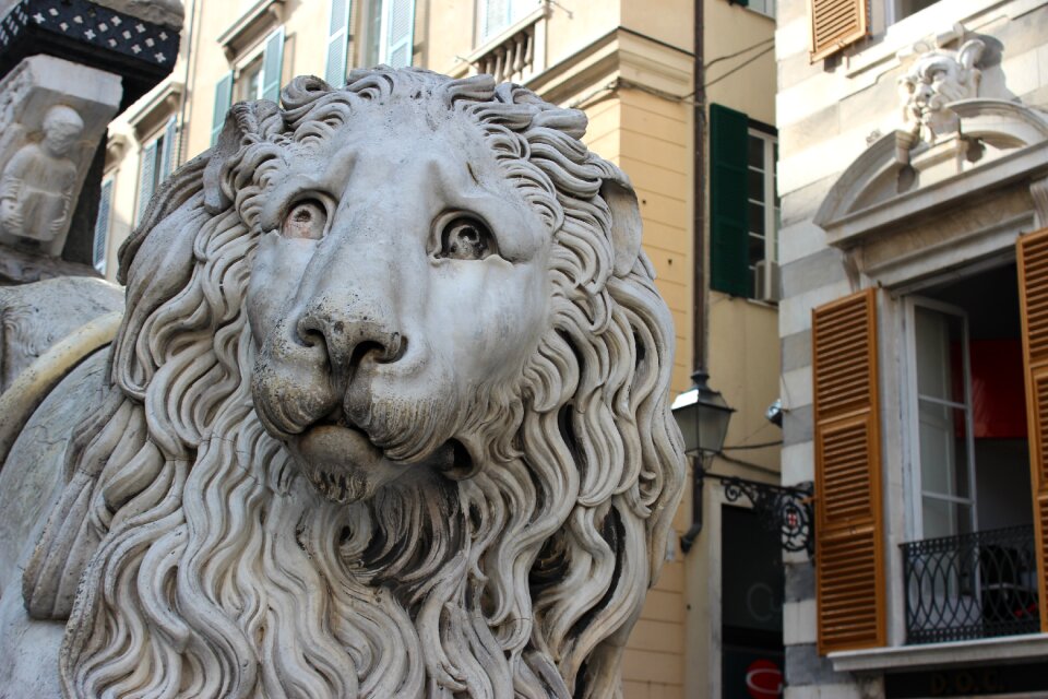 Lion marble cathedral