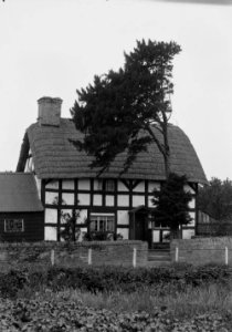 Thatched cottage, Bucknell (1293395)