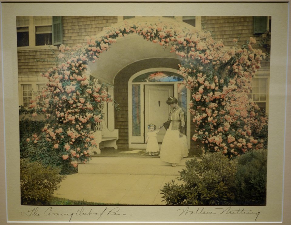 The Coming Out of Rosa by Wallace Nutting, c. 1900-1910, hand-colored photograph - Fitchburg Art Museum - DSC08936
